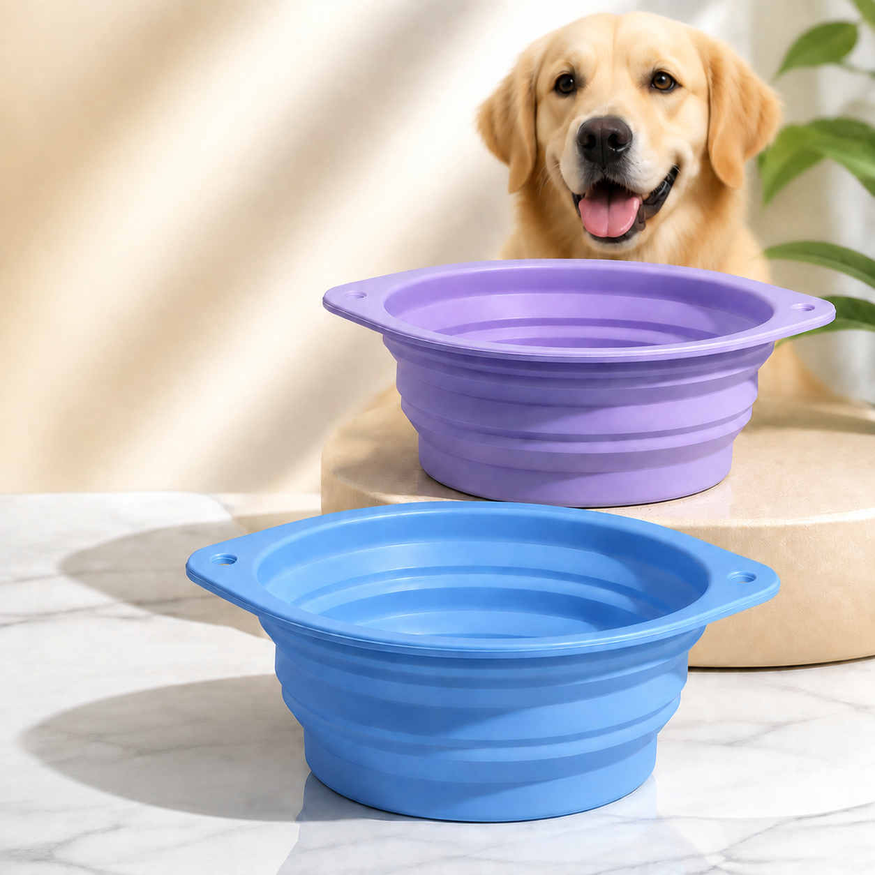 Silicone Pet Supplies collection